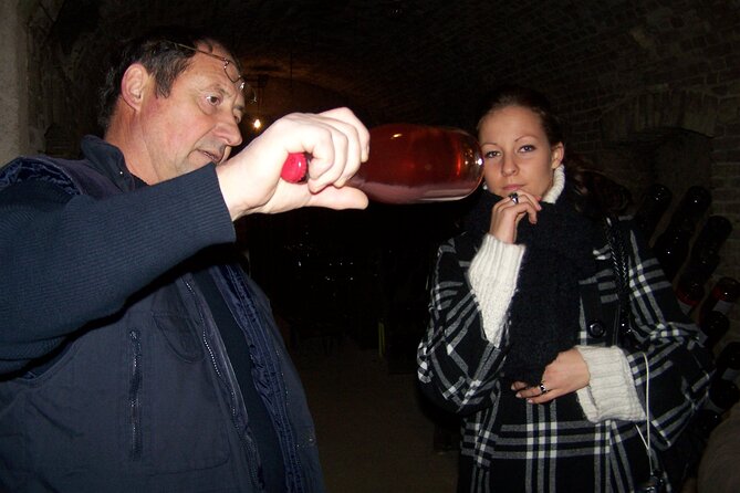 Full Day All-Inclusive Tour in Champagne From Paris in a Minivan - Reviews