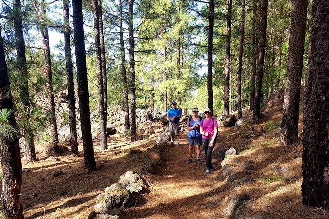 Full-Day Almond Blossom Trail in Tenerife - Frequently Asked Questions