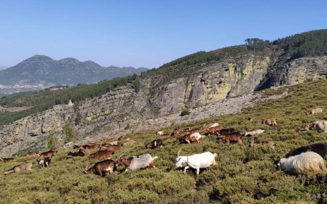 FULL DAY - ALVAO PARK - FISGAS ERMELO WATERFALLS W/ TRANSFER - Guided Adventure