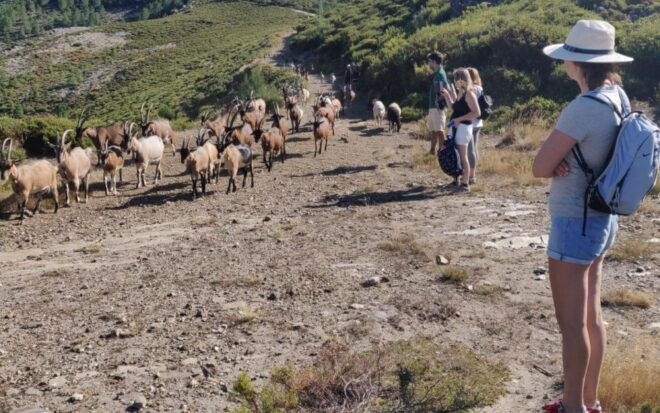 FULL DAY - ALVAO PARK - FISGAS ERMELO WATERFALLS W/ TRANSFER - Transfer Details