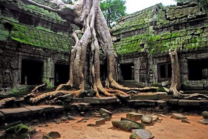 Full Day Angkor Complex by Tuk Tuk - (Optional Sunrise) - Transportation and Guide