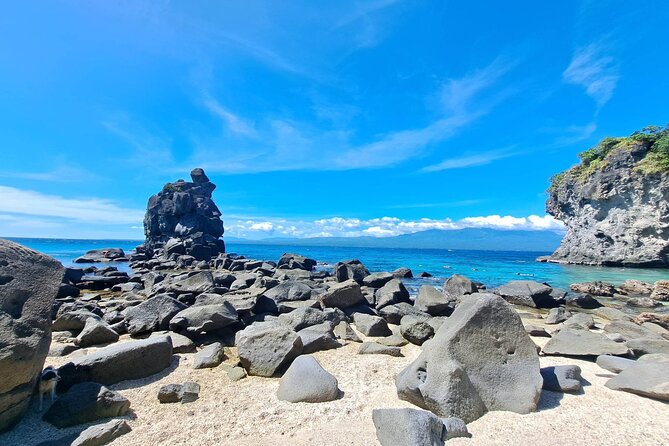 Full Day Apo Island Tour From Dumaguete - Tour Inclusions