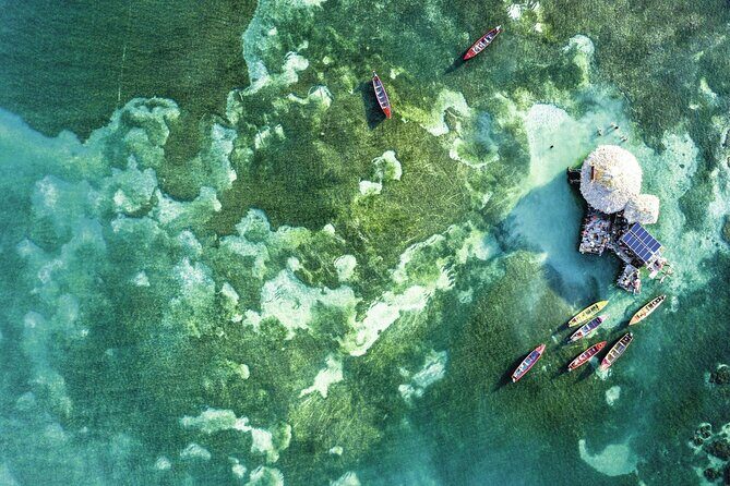 Full Day Appleton Rum YS Falls & Pelican Bar Group Tour - Final Thought