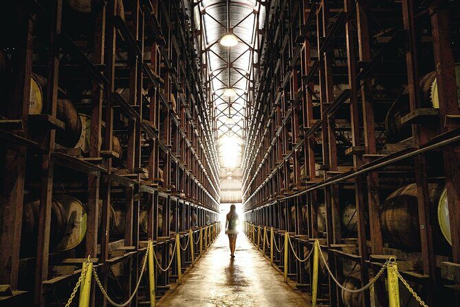 Full Day Appleton Rum YS Falls & Pelican Bar Group Tour - Practical Insights and Experience Tips