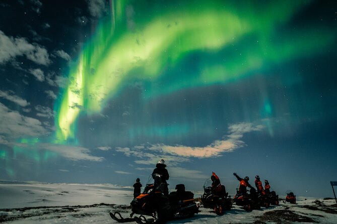 Full Day Arctic Adventure in Alta - Dog Sledding Adventure