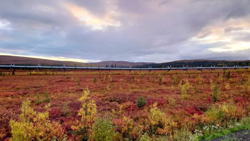 Full Day Arctic Circle Adventure From Fairbanks - An In-Depth Look at the Arctic Circle Tour