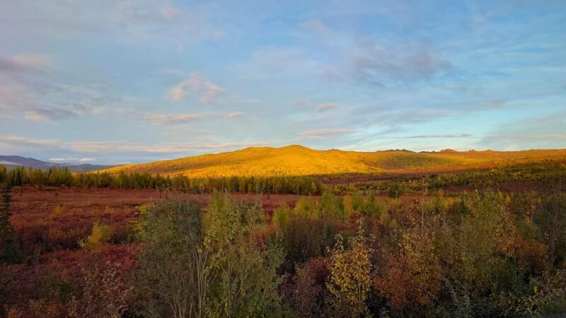 Full Day Arctic Circle Adventure From Fairbanks - FAQs