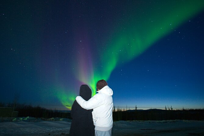 Full Day Arctic Circle Tour - Aurora Hunting and Arctic Circle Certificates