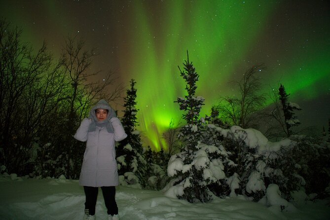 Full Day Arctic Circle Tour - Admission to Gates Of The Arctic National Park