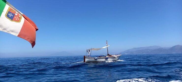 Full Day Around Island of Capri 6h Tours - Good To Know