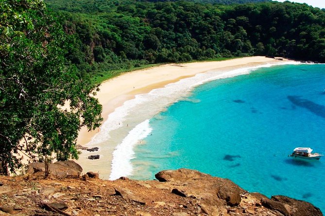 Full Day Arraial DAjuda District Tour - Tour Overview