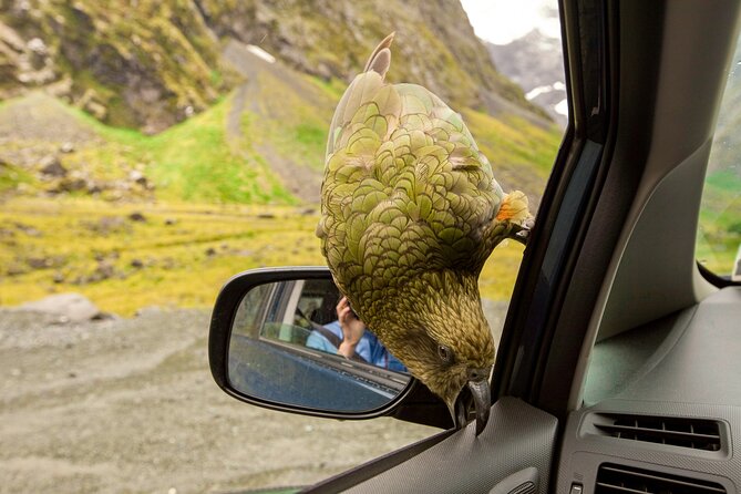Full Day Arthurs Pass Tour With Tranzalpine Train in New Zealand - Reviews