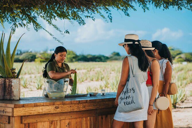 Full-Day Aruba History and Must-See Landmarks Tour - The Transport & Group Experience