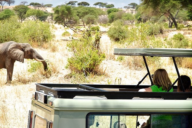 Full-Day Arusha Tarangire National Park Private Tour - Itinerary Overview