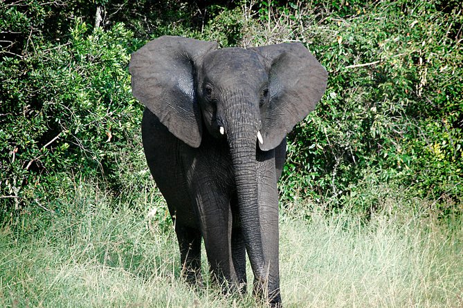 Full-Day Arusha Tarangire National Park Private Tour - Meeting Point Details