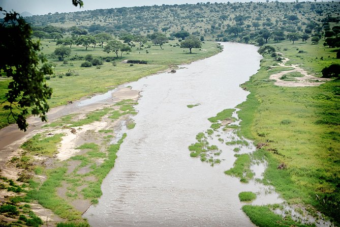 Full-Day Arusha Tarangire National Park Private Tour - Cancellation Policy