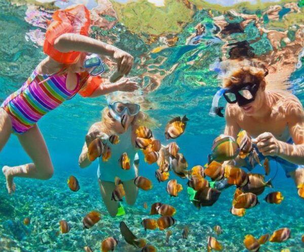 Full Day at Barú Island by Boat: Snorkel Sunset Plankton - Frequently Asked Questions