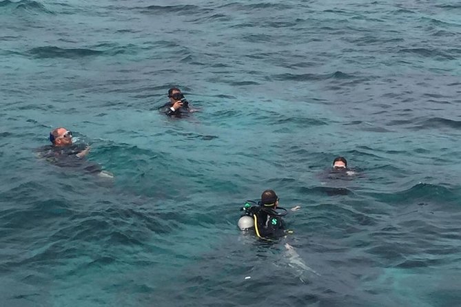 Full-Day at Catalina Island From Santo Domingo With Optional Snorkeling Included - Snorkeling Experience Details
