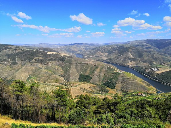 Full-Day at Douro Valley Tasting Tour - Itinerary Highlights