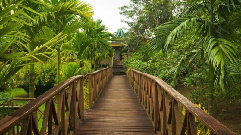 Full Day At Sepilok Orangutan, Sun Bear & Sandakan City Tour - Final Thoughts