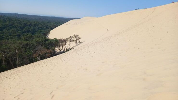 Full Day at the Dune of Pilat, Arcachon, Including Oyster Tasting! - Tour Details