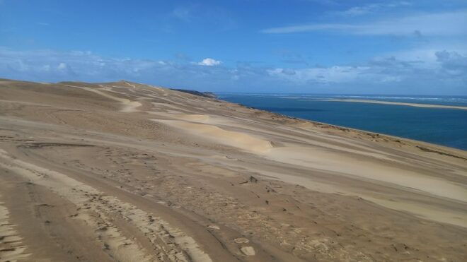 Full Day at the Dune of Pilat, Arcachon, Including Oyster Tasting! - Inclusions