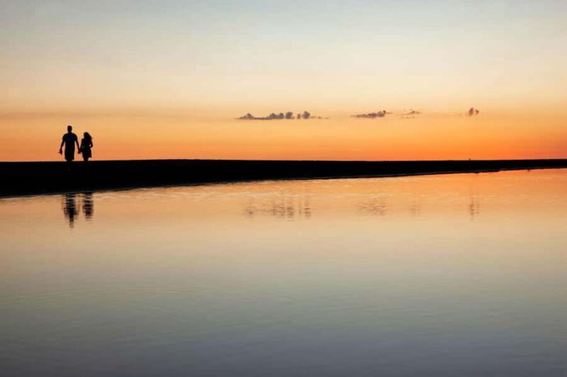 Full-day Auckland City & Rainforest Private Tour by Car - Good To Know