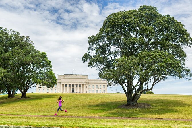 Full-day Auckland City & Rainforest Tour by Car - Itinerary Overview