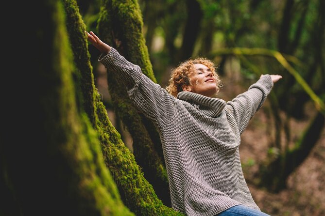 Full-day Auckland City & Rainforest Tour by Car - Rainforest Adventure