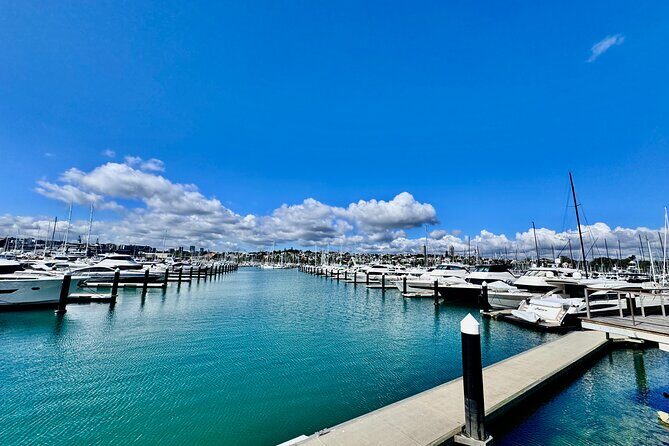 Full-Day Auckland Discovery - Price and Value