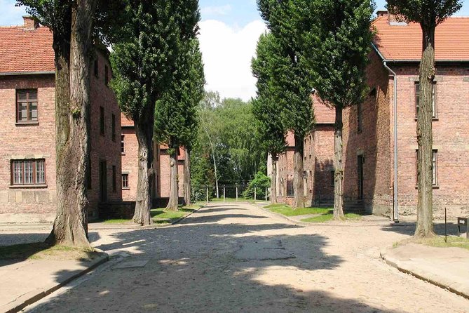 Full-Day Auschwitz-Birkenau and Oskar Schindler Factory Tour From Krakow - Inclusions and Visitor Guidelines
