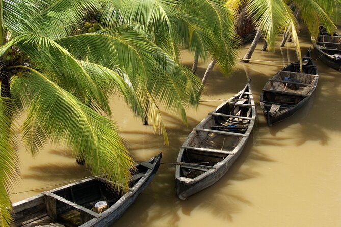 Full Day Authentic Mekong Delta Life in Ben Tre - Unforgettable Boat Tours on the Mekong River