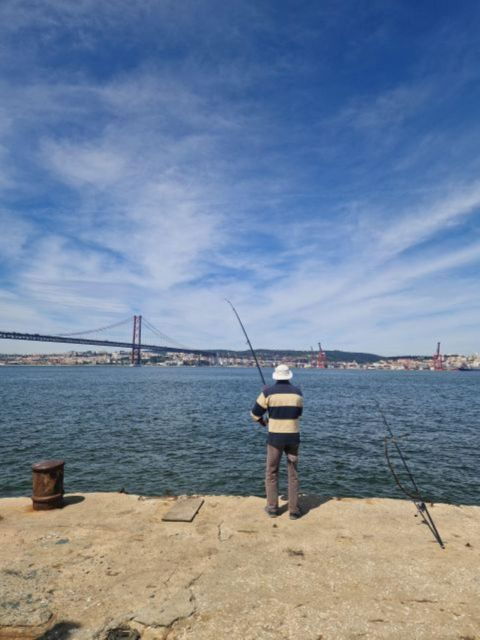 Full Day-Away Day From Lisbon to Lisbon Southbank - Activity Highlights