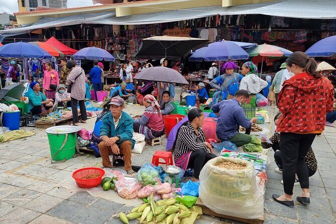 Full-day Bac Ha Sunday Market Private Tour from Sapa - An In-Depth Look at the Tour