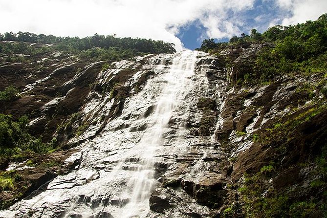 FULL-DAY BACH MA NATIONAL PARK TREKKING TOUR From DA NANG - Tour Pricing and Booking Details