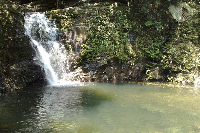 FULL-DAY BACH MA NATIONAL PARK TREKKING TOUR From DA NANG - Additional Information and Tips for the Trekking Tour