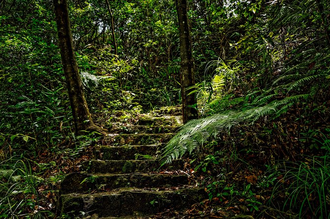 FULL-DAY BACH MA NATIONAL PARK TREKKING TOUR From DA NANG - Common Questions