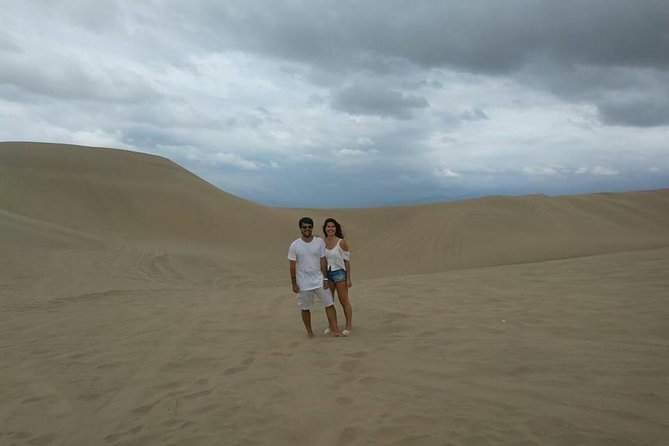 Full Day Ballestas Islands Huacachina, the Oasis of America Ica Desert - The Sum Up