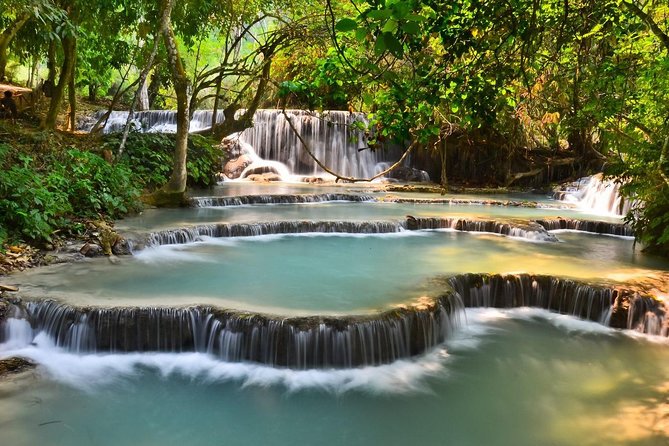 Full Day Bamboo Experience With Cooking Class & Kuang Si Waterfalls - The Importance of Bamboo in Lao Culture