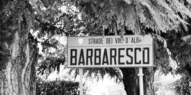 Full-Day Barbaresco Wine Tour With Truffle Hunting and Lunch - Inclusions and Exclusions