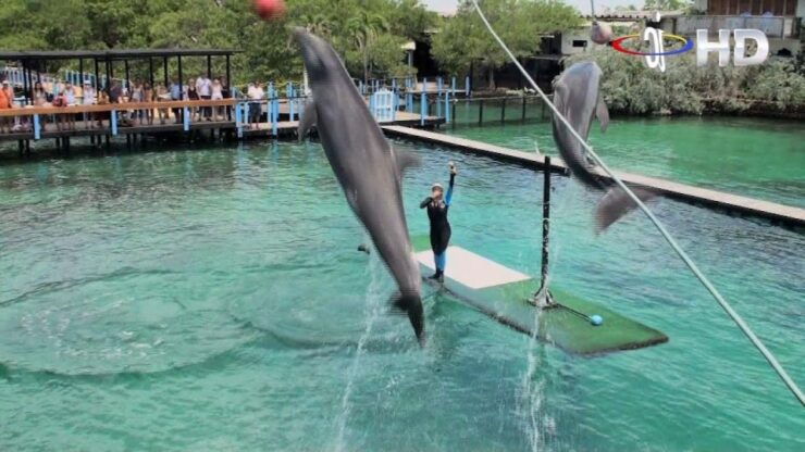 Full Day Baru Premium at Islas Del Rosario - Activity Duration Information