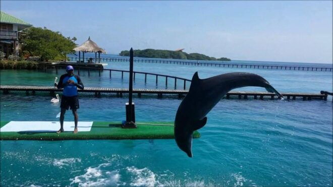 Full Day Baru Premium at Islas Del Rosario - Activity Inclusions Highlight