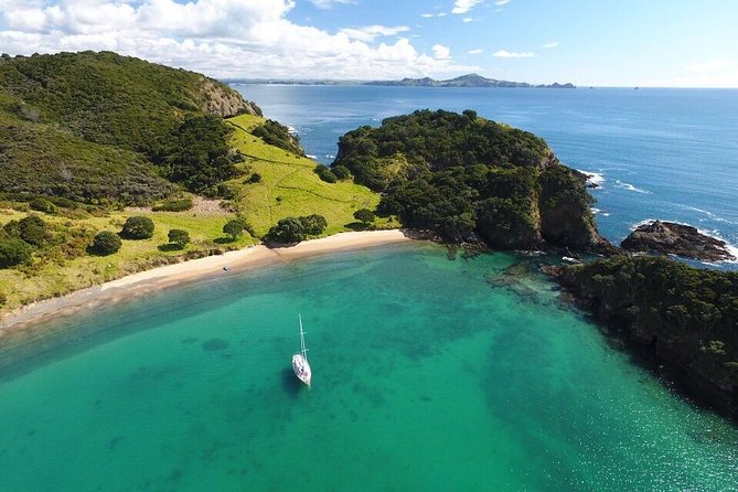 Full-Day Bay of Islands Tour by Vigilant Yacht Charters - Cancellation Policy