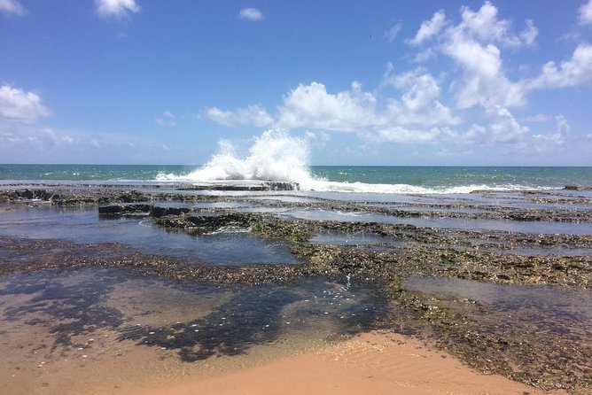 Full-Day Beach Hopping Tour From Salvador Da Bahia, Brazil - Full-Day Tour Itinerary