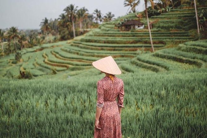 Full Day : Bedugul Temple - UNESCO Rice Terrace - Tanah Lot Temple - Tour Highlights
