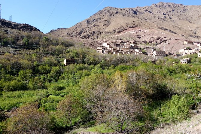 Full-Day Berber Villages Private Cultural Tour From Marrakech - Expert Tour Guide