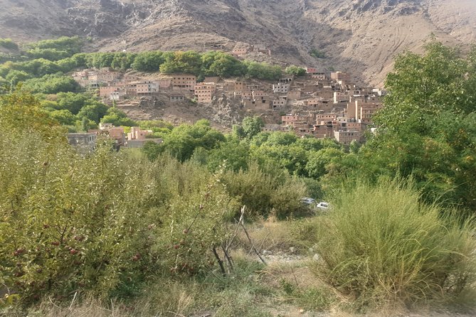 Full-Day Berber Villages Private Cultural Tour From Marrakech - Common Questions