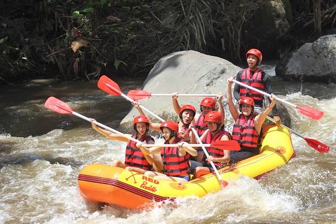 Full Day Best Combination of Bali Atv and Ayung River Rafting Tour - Pricing and Booking Details