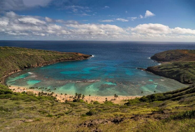 Full Day Best of Oahu Sightseeing Tour - About the Activity