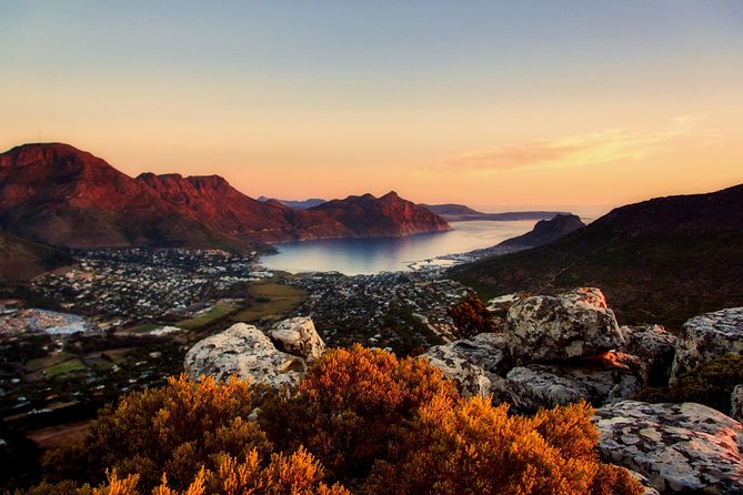 Full-Day Best of the Cape, Peninsula, Cape Point and Stellenbosch Tour - Tour Highlights